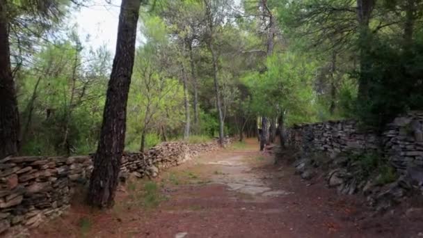 Walking Dirt Trail Surrounded Small Stone Wall Green Forest Painted — Vídeos de Stock