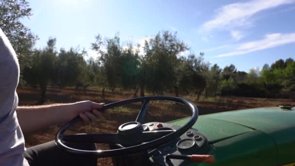 Farmer Driving Tractor Olive Fields Detail Hand Wheel — Vídeo de Stock