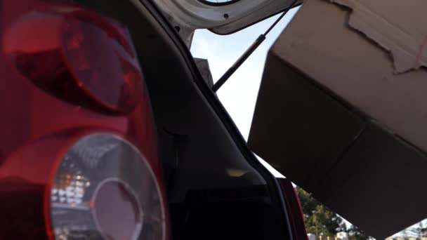 Woman Putting Cardboard Box Car Low Medium Shot — Video Stock