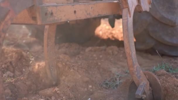Трактор Крупным Планом Обрабатывает Землю Оливковых Полях — стоковое видео