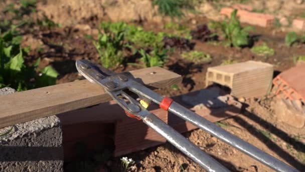 Working Tools Field Left Close Plants — Vídeos de Stock