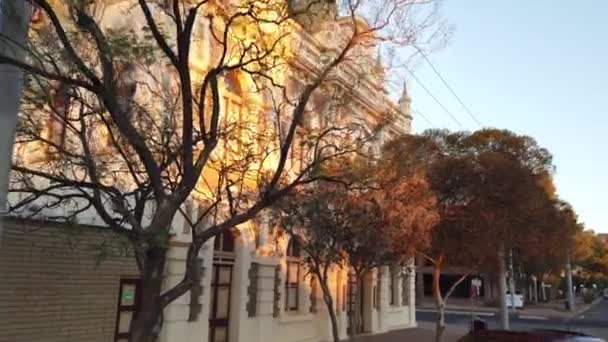 Passing Trees Reveal Trades Hall — Stock video