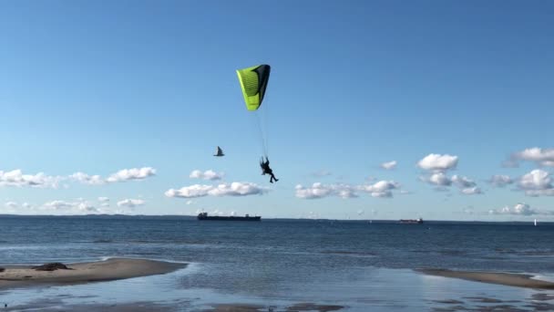 Motorized Hang Glider Landing Beach — 비디오