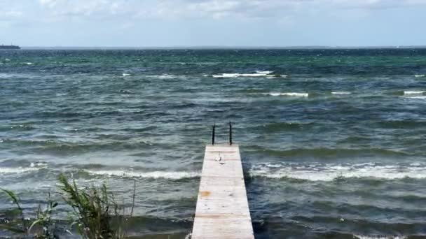 Seagul Board Walk — Video Stock