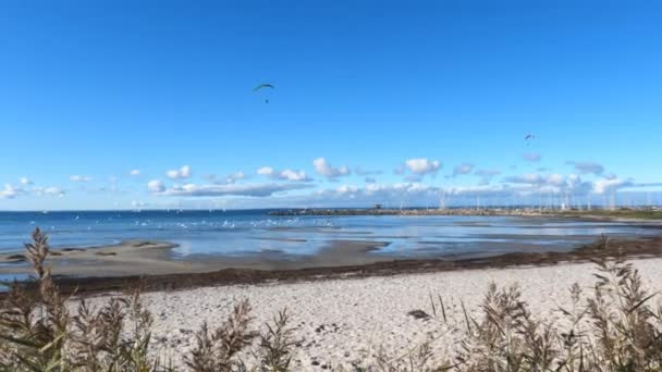 Motorized Hang Gliders Beach — Video Stock