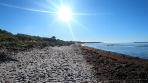 Walking Very Slowly Pov Beach — Stok Video