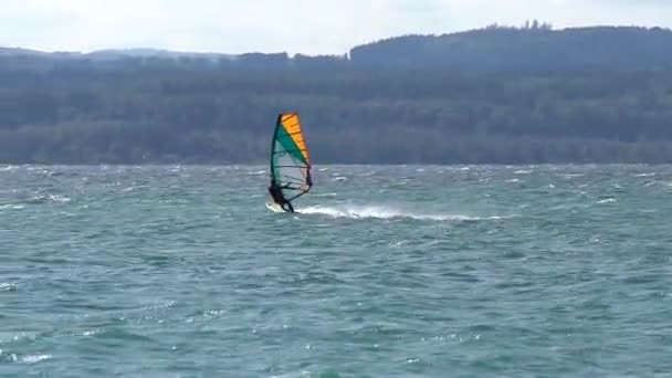 Windsurfer Going Fast Swiss Lake Lac Neuchatel — Stock video