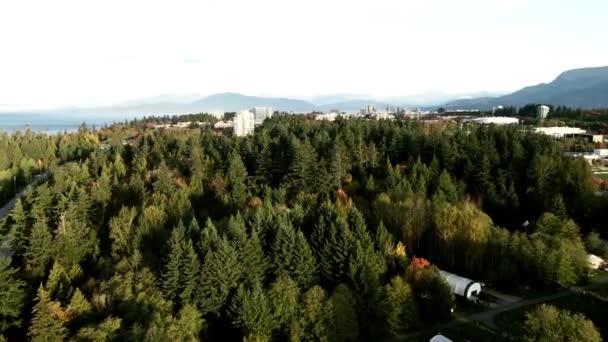 Drone Footage Ubc Tress Forest Pacific Ocean British Columbia Canada — Stockvideo