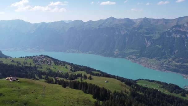 Amazing View Crystal Clear Turquoise Green Swiss Lake Brienz Sunny — Stockvideo