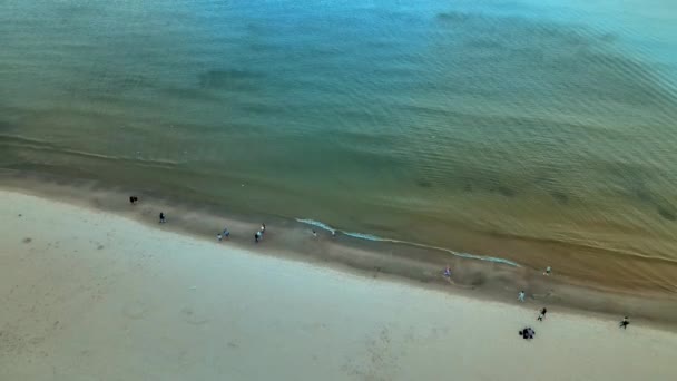 Aerial View Shoreline Baltic Sea While People Walking Beach — ストック動画