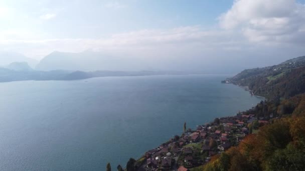 Drone Leci Wysoko Nad Pięknym Jeziorem Szwajcarskim Jezioro Thun Wspaniałe — Wideo stockowe
