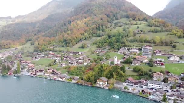 Drone Cerchio Sopra Lago Svizzero Thun — Video Stock