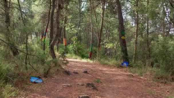 Walking Dirt Trail Surrounded Dense Green Forest Tree Trunks Painted — Stockvideo