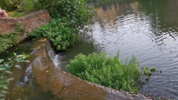 Small Water Fall Canal Oxford — ストック動画