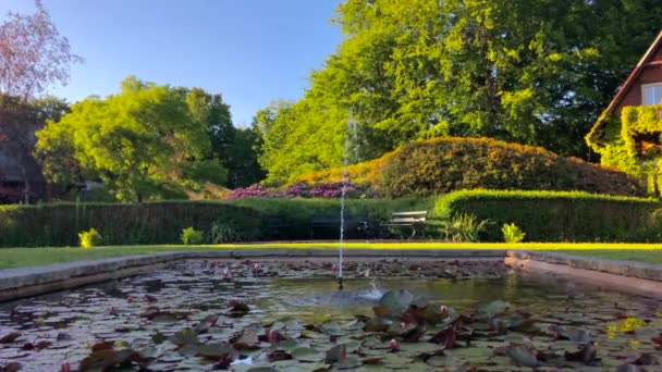 Beautiful Fountain Nature Park — Stock Video
