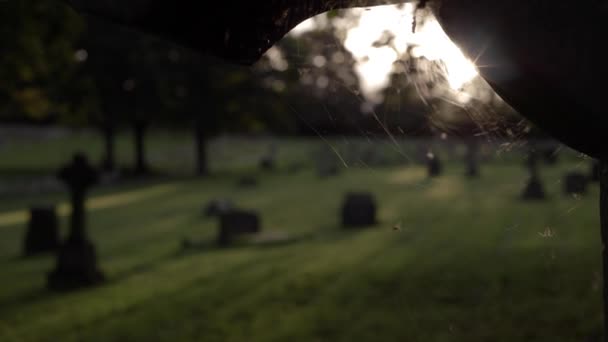 View Graveyard Cobweb Headstone Tilting Shot — Stockvideo