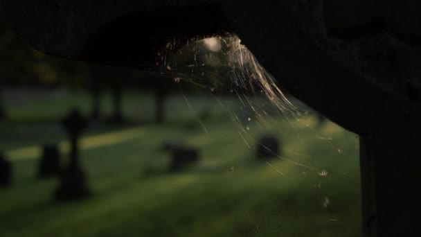 View Graveyard Cobweb Headstone Panning Shot — Vídeo de Stock