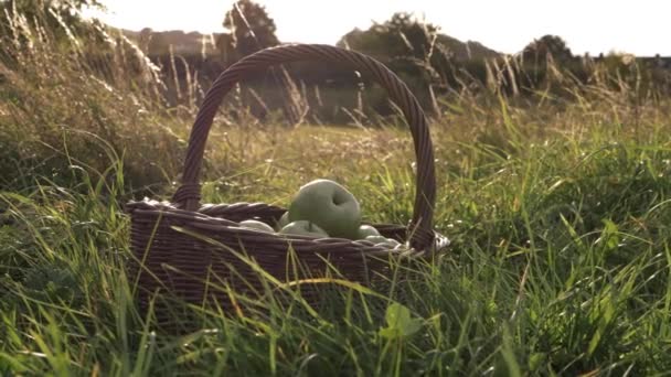 Basket Ripe Green Apples Summer Meadow Zoom Medium Shot — Stock Video