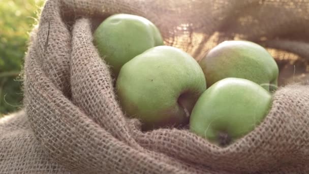 Sack Ripe Green Apples Sack Close Panning Shot — Stock videók