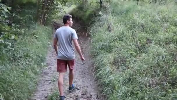 Man Walks Footpath Forest Daytime Summer Season Young Man Filmed — Stockvideo