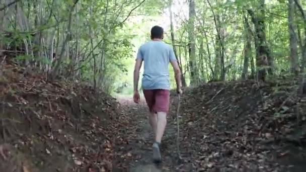 Hombre Camina Por Sendero Bosque Durante Día Temporada Verano Joven — Vídeos de Stock