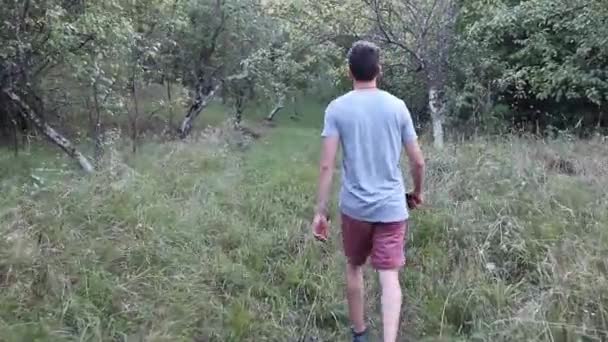 Man Walks Footpath Forest Daytime Summer Season Young Man Filmed — Video