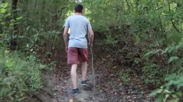 Man Walks Footpath Forest Daytime Summer Season Young Man Filmed — Stock videók