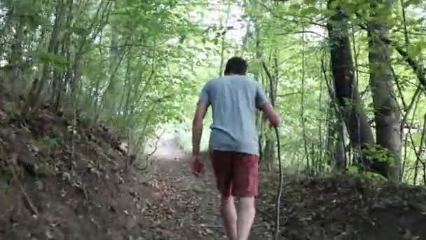 Чоловік Йде Стежці Лісі Вдень Влітку Молодий Чоловік Знімався Ззаду — стокове відео