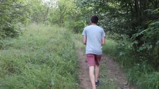 Man Walks Footpath Forest Daytime Summer Season Young Man Filmed — Video