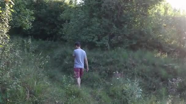 Muž Kráčí Pěšině Lese Dne Létě Mladý Muž Natáčel Zezadu — Stock video