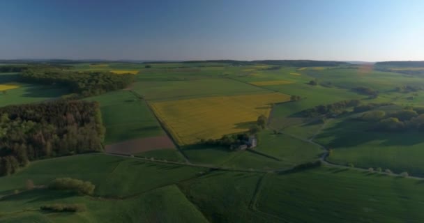 Drone Flight Yellow Green Fields Landscape Sun Flare — ストック動画