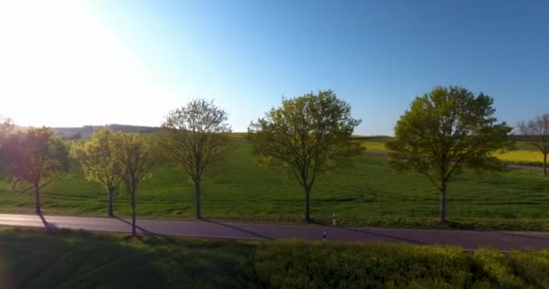 Drone Flight Tree Line Sunset Lense Flare — Vídeos de Stock