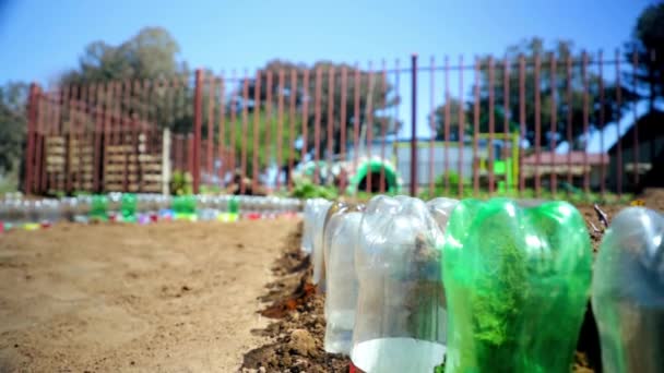 Recycled Plastic Bottles Used Irrigation — Αρχείο Βίντεο