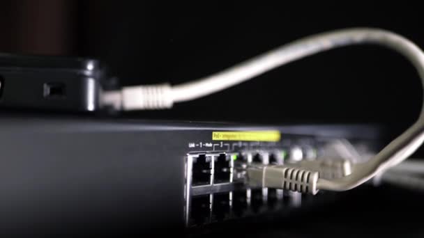 Ethernet Utp Cables Switch Medium Zoom Shot — ストック動画