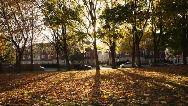 Devonshire Green Park Sheffield South Yorkshire Sunny Day Public Park — 비디오