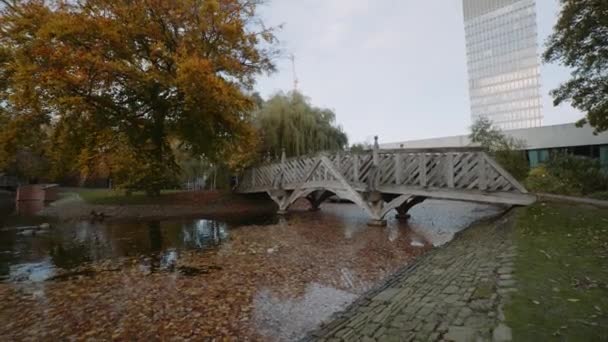 Western Park Wooden Crossing Bridge Arts Tower Background Duck Pond — Stock Video