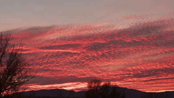 Pôr Sol Épico Com Nuvens Queimando Cor Vermelha Pela Luz — Vídeo de Stock