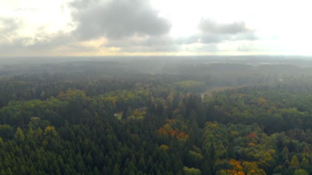 Moving Clouds Green Autumn Forest Idyllic Landscape — Video Stock