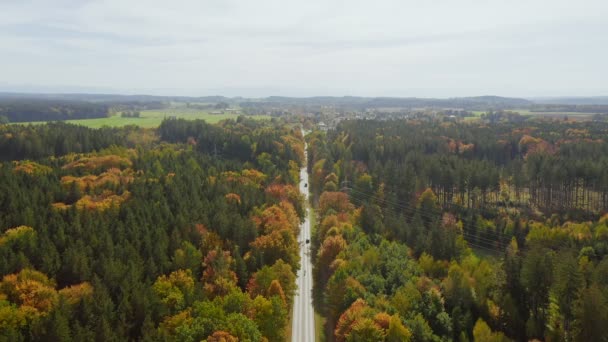 Aerial Timelapse Autumn Colored Road Leading Colorful Forest Sunny Day — 图库视频影像