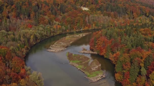 Wonderful Autumn Colors Aerial River Little Islands Leading Colorful Forest — Stockvideo