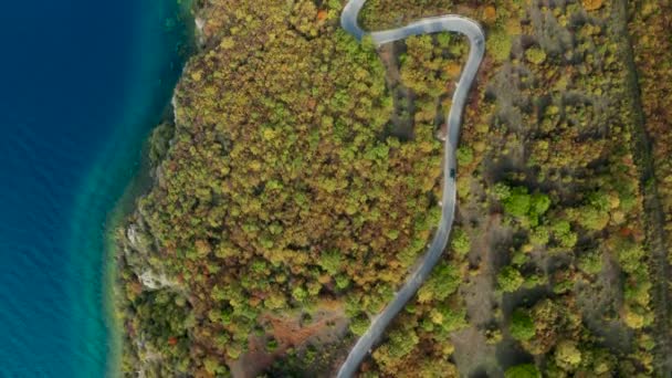 Car Drive Curvy Road Colorful Autumn Next Lake Top Aerial — Video Stock