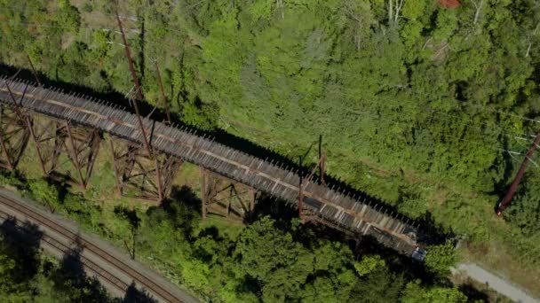 Abandoned Trestle Bridge Susquehanna River Aerial Forest — 图库视频影像