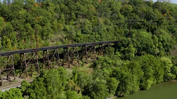 Abandoned Trestle Bridge Susquehanna River Aerial Forest — 图库视频影像