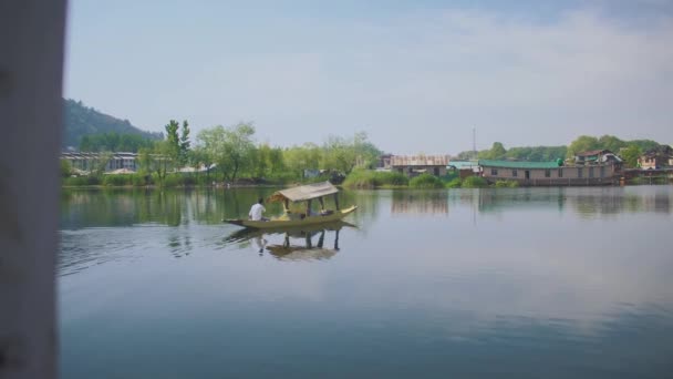 Local Man Rowing Boat Dal Lake Srinagar Kashmir Morning Life — Stockvideo