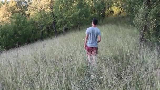 Ember Sétál Zöld Erdőben Hátulról Lőtték — Stock videók