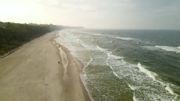 Aerial Pull Back Baltic Sea Beach Poland Green Waves — ストック動画