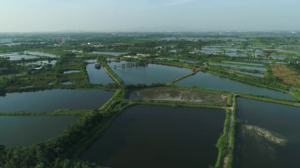 Filmagem Aérea Belo Pôr Sol Nilo Tilapia Fish Farm Asian — Vídeo de Stock