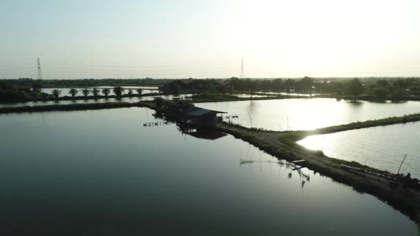 Aerial Footage Beautiful Sunset Nile Tilapia Fish Farm Asian Fish — Vídeos de Stock