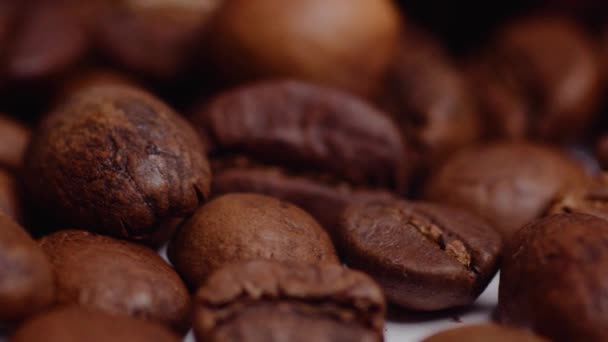 Macro Close Slider Roasted Coffee Beans Focus Lighting Studio Slow — 비디오