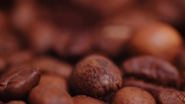 Macro Close Shot Fresh Roasted Coffee Beans Changing Focus Blurred — Vídeo de Stock